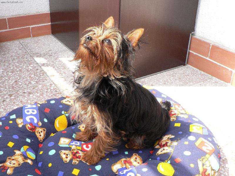 Foto: Lilly-Toto ale h�eje, jen abych se nesp�lila......