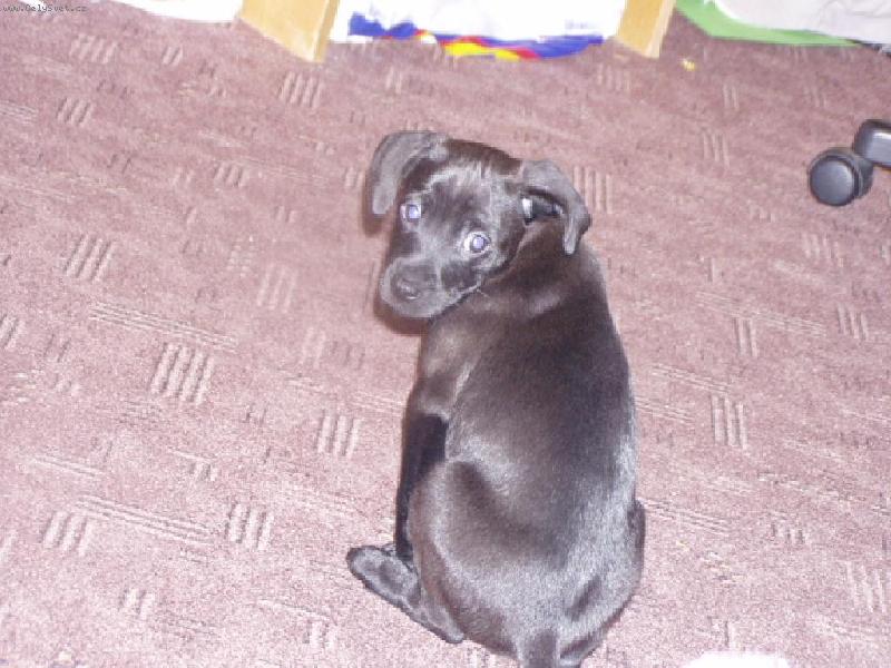 Foto: Argonaut-no stafik asi ne ale hlavn� �e je n�!