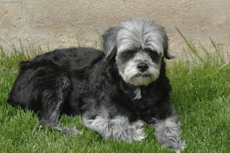 Foto: Odpo�inek v tr�v�