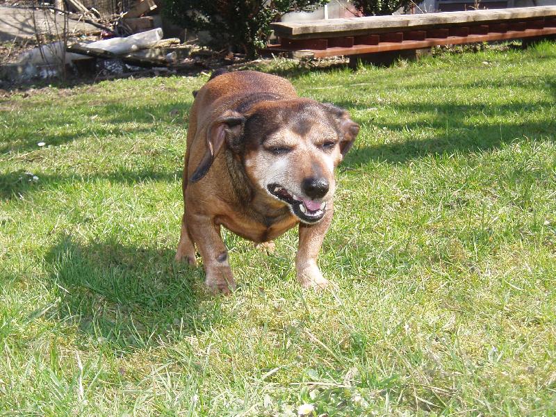 Foto: Vysm�t� �ul��ek-Jo tak tenhle f�r byl fakt dobrej !!!