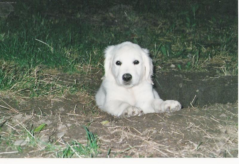 Foto: to ale dalo pr�ce, aby jeden n�co na�el . . .