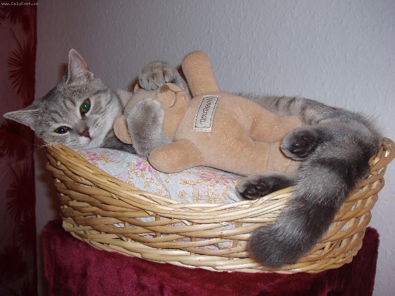 Foto: Safira se sv�m kamar�dem-M�o....h�dek kdo to je?