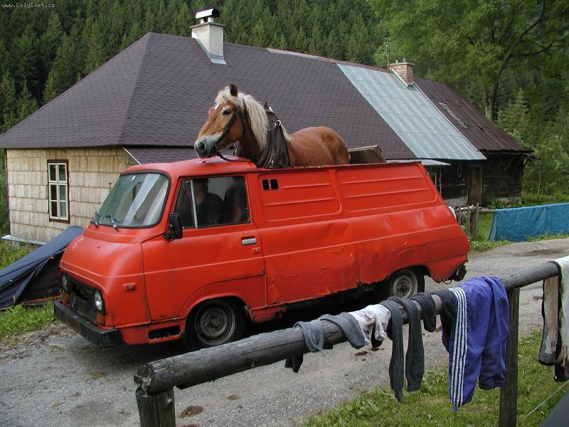 Foto: N�zk� Tatry...   ...jinak, ne� zn�me-30let� kon�k na cest� z pr�ce