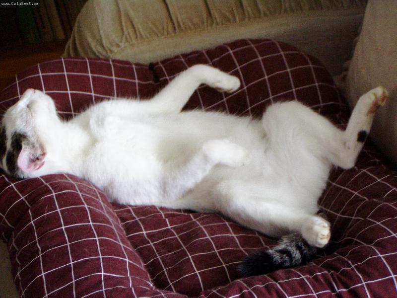 Foto: Po ob�d�...