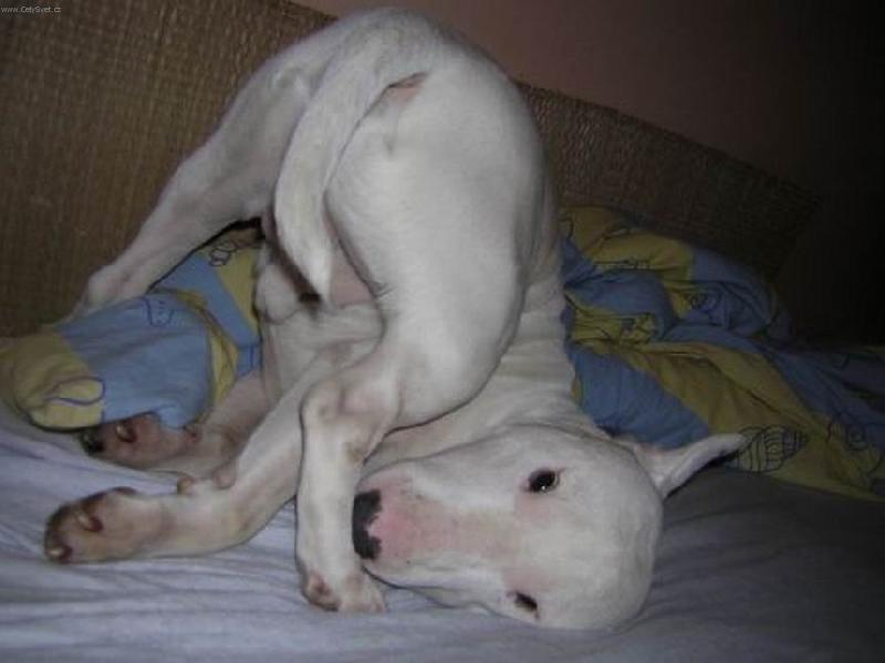 Foto: vlezte mi n�kam :-)-takhle na n�s Kv�do ob�as vystrkuje....:-))