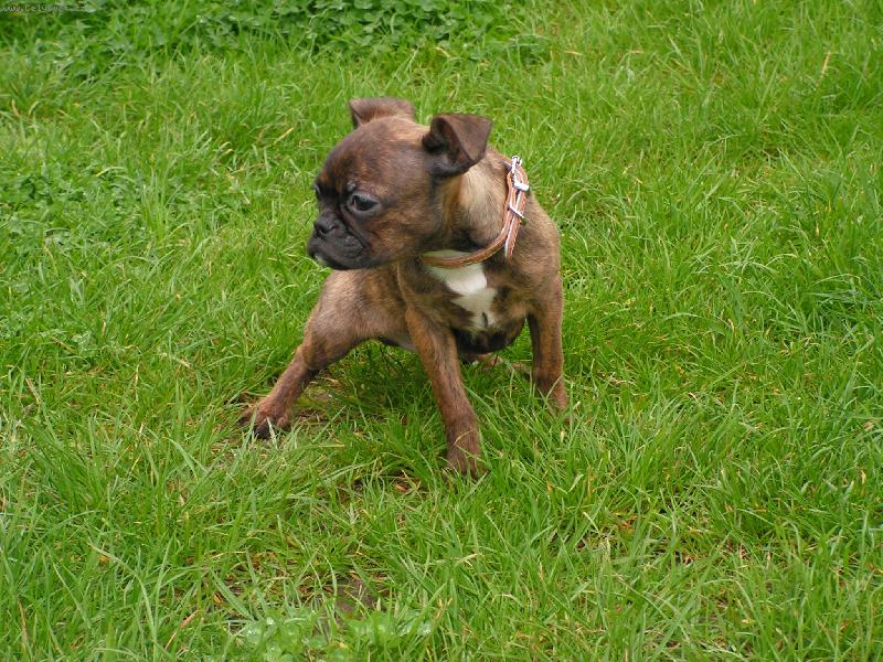 Foto: Ton�k-Je�t� �ur�m jako hol�i�ka