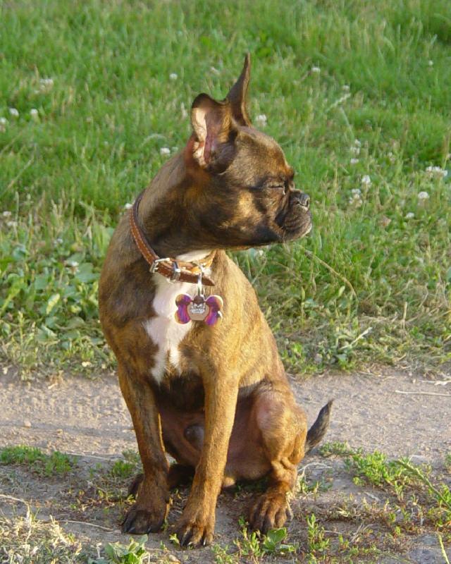 Foto: N�dhern� profil-p��t� to chce slune�n� br�le