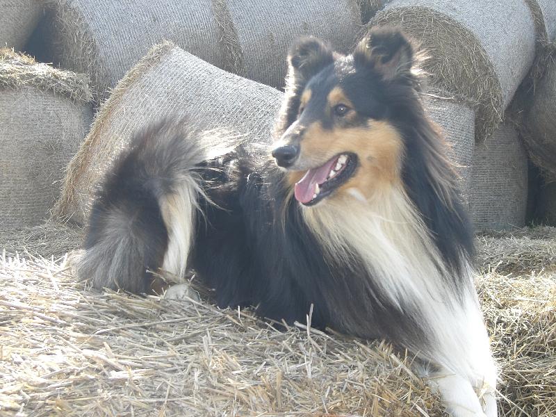 Foto: Ulvar black Vermiko-to je pohodi�ka