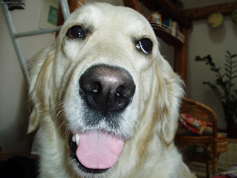 Foto: jejda zase foceni.....