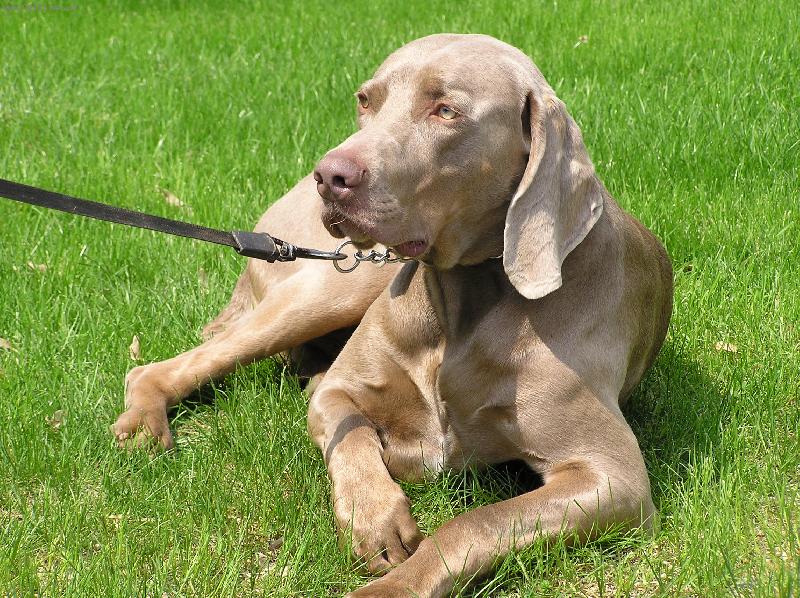 Foto: ODPO�INEK-BRITT NA SLUN��KU