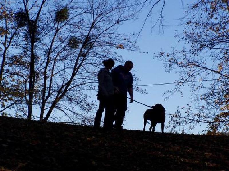 Foto: Pes a �lov�k-jedno odpoledne v Hradci nad Moravic�