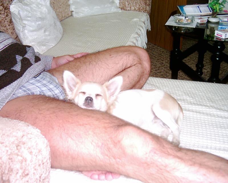 Foto: Monty sp�c�-a takhle se mi spink� nejl�p