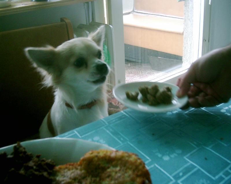 Foto: Monty-j� taky dostanu??