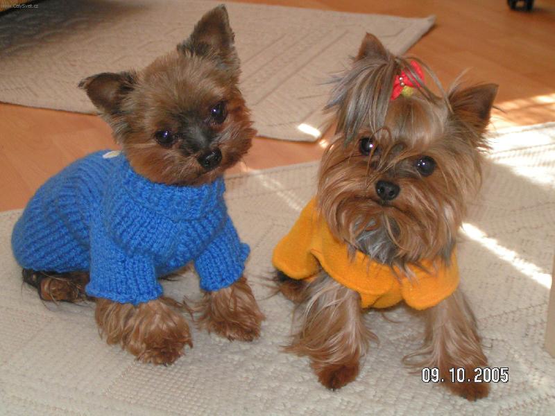 Foto: Nely a Joky-p�kn� v teplou�ku :-)