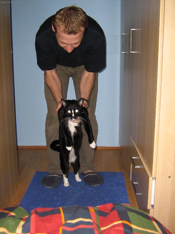 Foto: Pom��c..tah� m� jak kot�!