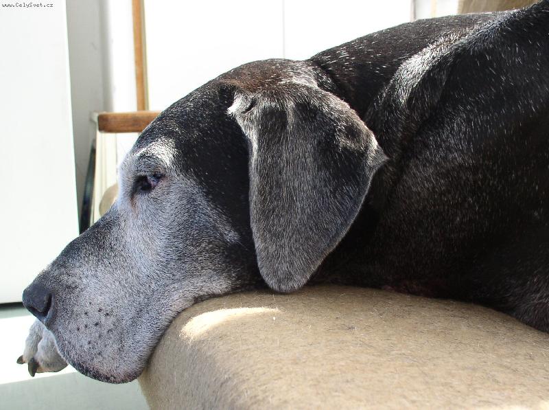 Foto: Sindy v des�ti letech