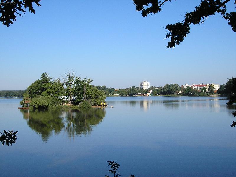 Foto: Rybn�k Sv�t