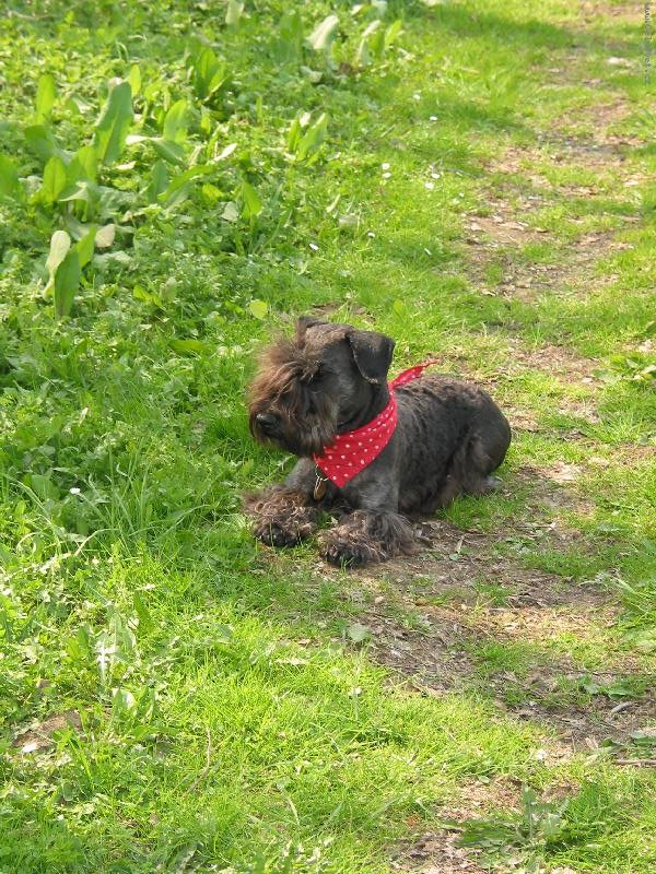 Foto: Fe��k Hubert-Odpo�inek