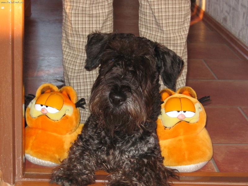 Foto: dva na jednoho je nef�r