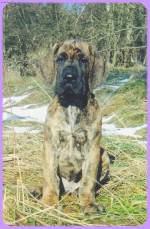 Foto: Adammi von Graslic