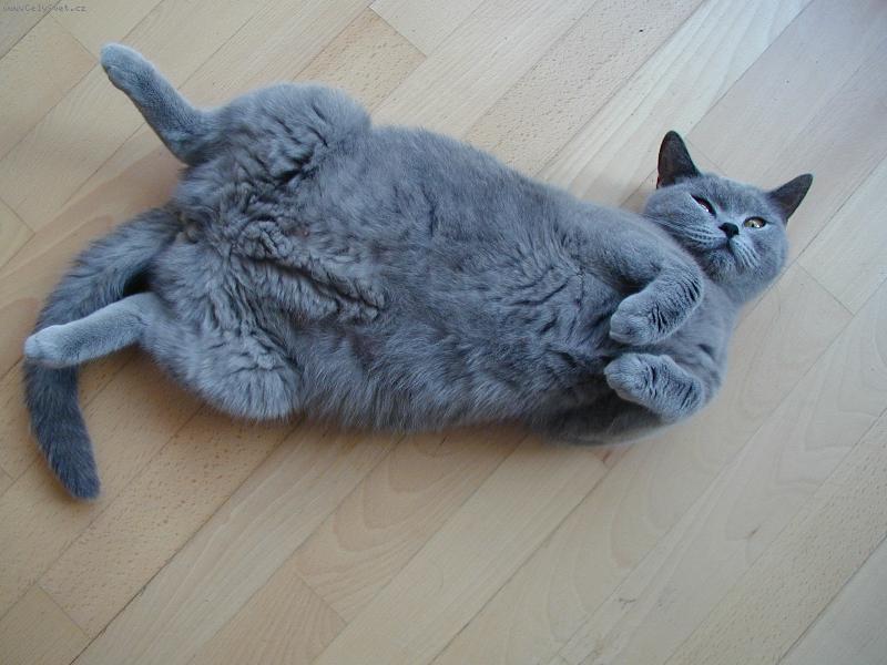 Foto: ��astn� budouc� m�ma