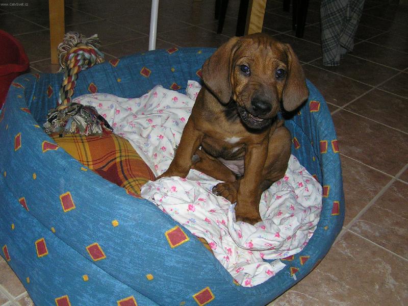 Foto: anny-Dej si na m� bacha