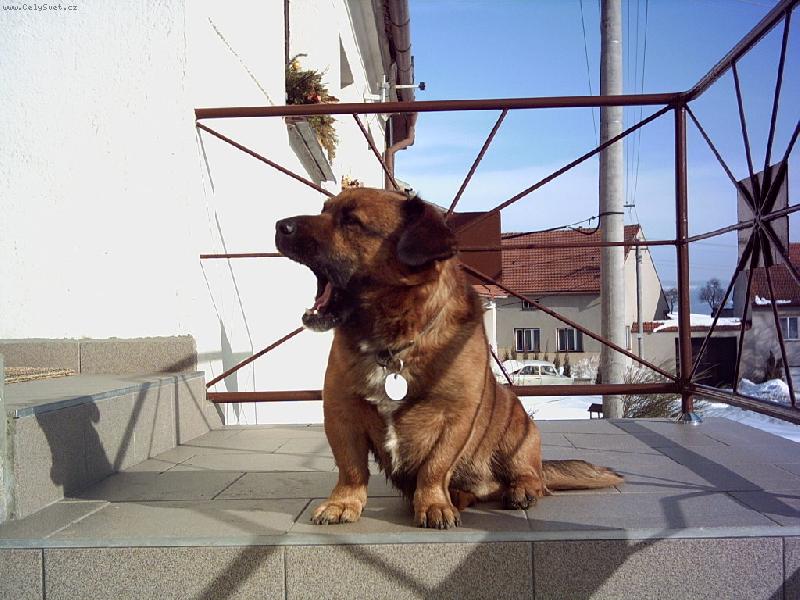 Foto: MaXicek-Ran� vst�v�n� !