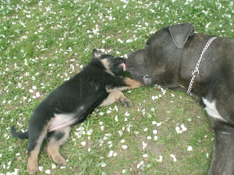 Foto: l�ska-Na velikosti nez�le�� :-)