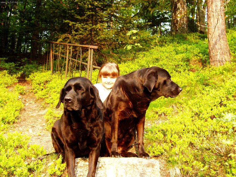 Foto: na�e holky v�echny t�i