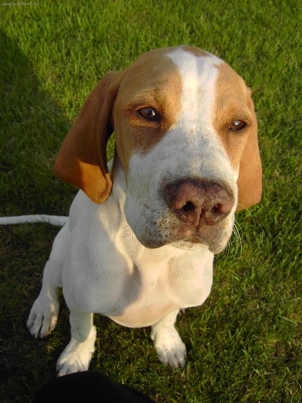 Foto: Pup�k-M�m t� r�d.....