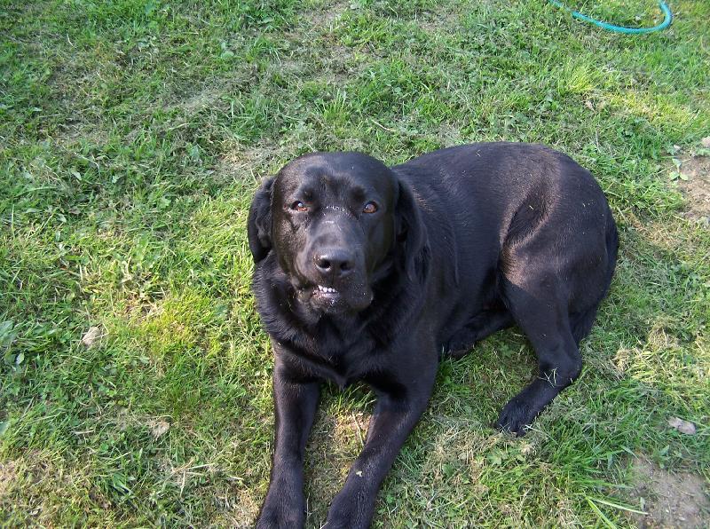 Foto: Max�k-"To focen� me nebav�"