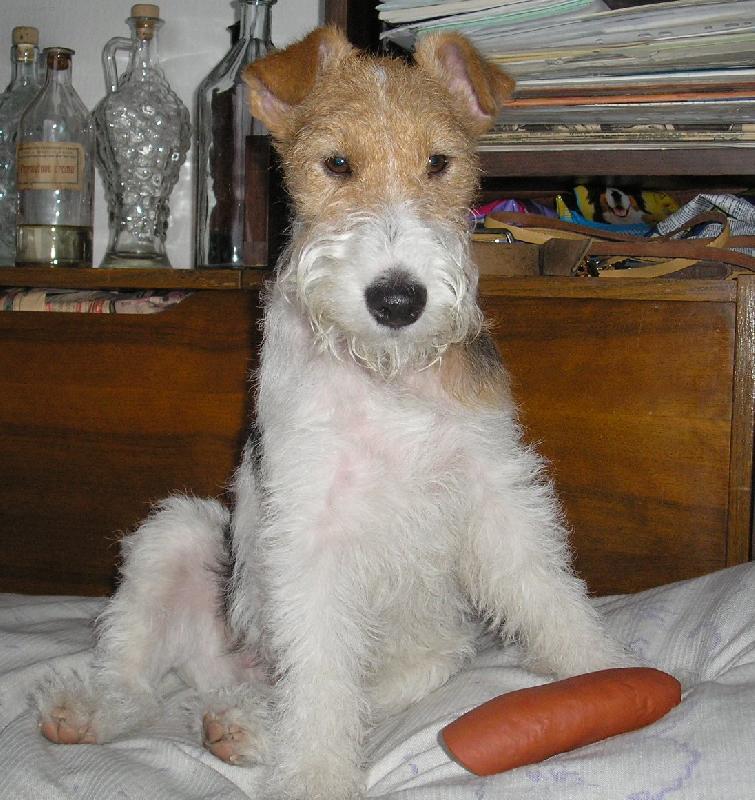 Foto: Akina-...toto je n� anjelik