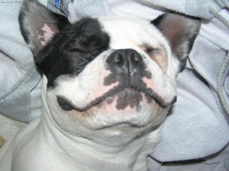 Foto: MONTA-Nejobl�ben�j�� �innost!