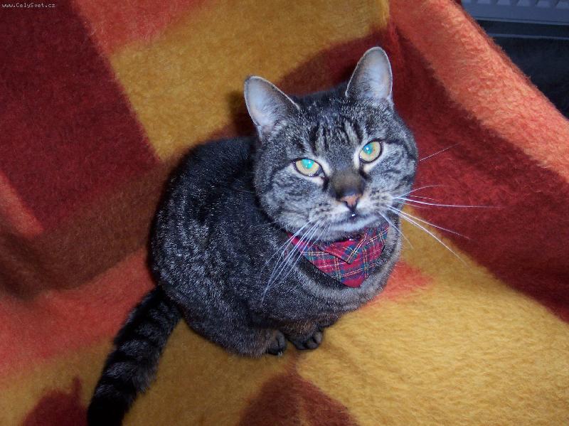 Foto: M�j mil��ek..-No nen� n�dhern�?