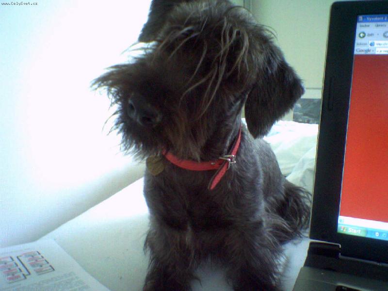 Foto: copak po m� chcete...-ja nic nevimmm:)