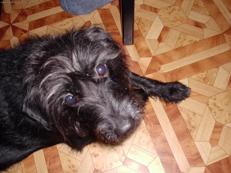 Foto: Sam�k:)-Dnes nem�m zrovna sv�j den