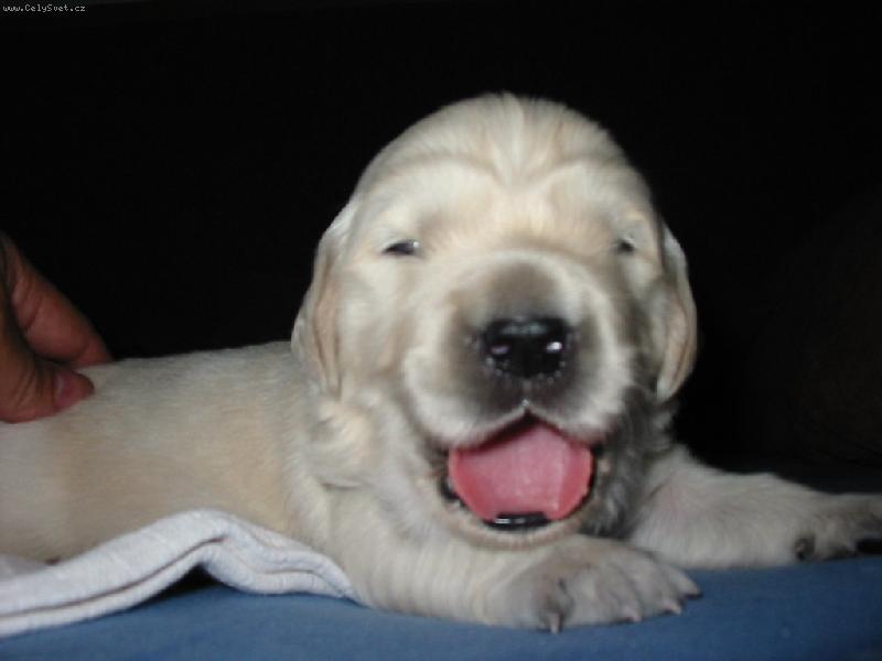 Foto: �t�n�-u� vid�m