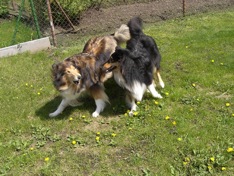 Foto: Ulvar a Beky-honi�ka :-)))