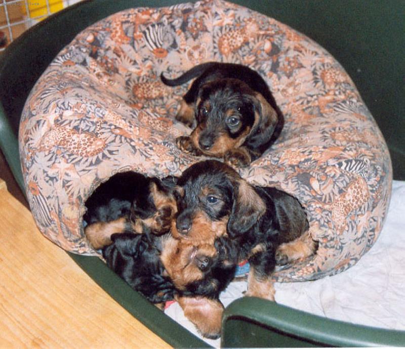 Foto: �t���tka-�t���tka