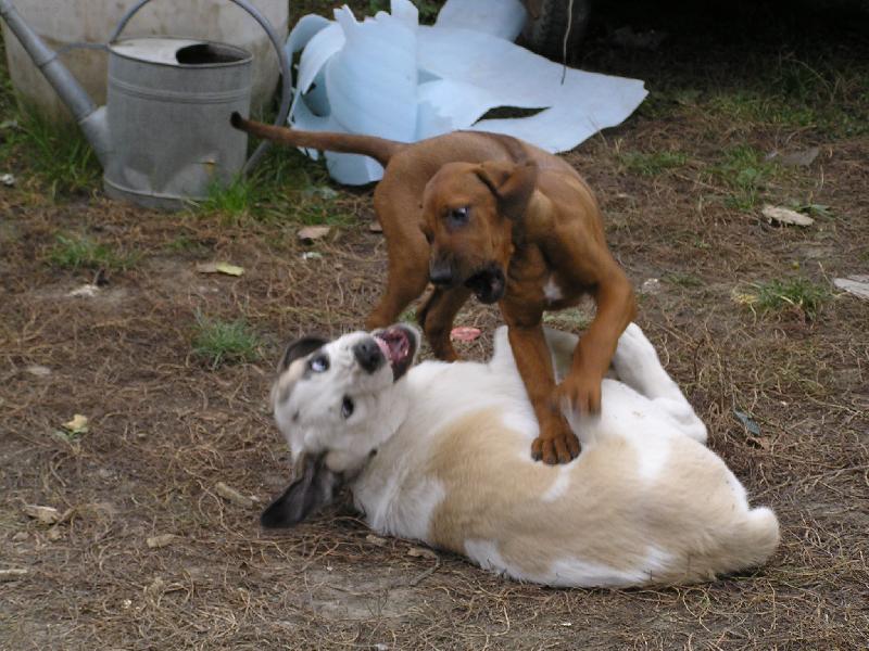 Foto: Anny+Theo-v z�palu boje