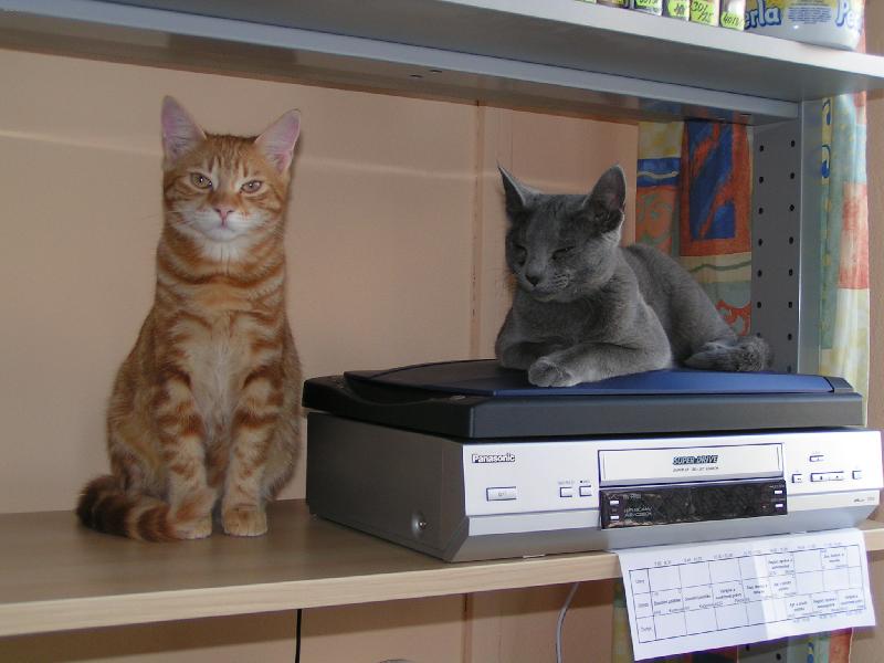 Foto: Cip�sek a Jur�ek-na�i spr�vci s�t�