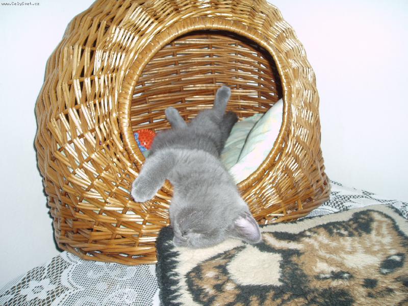 Foto: Charlie-Nen� nad tuto polohu...doporucuji vyzkouset!!!