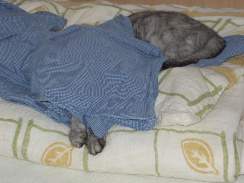 Foto: je�t� chv�li-Max v pi�amu