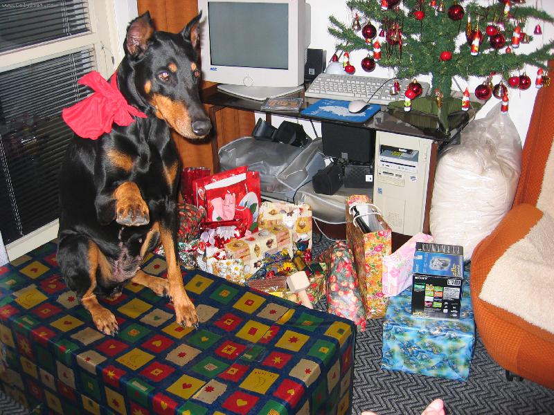 Foto: tori a V�noce-tak tenhle je m�j