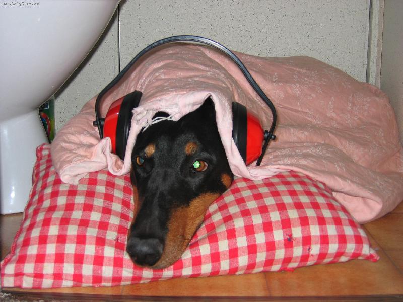 Foto: a� �ije silvestr-tak takhle v�t�m Nov� rok