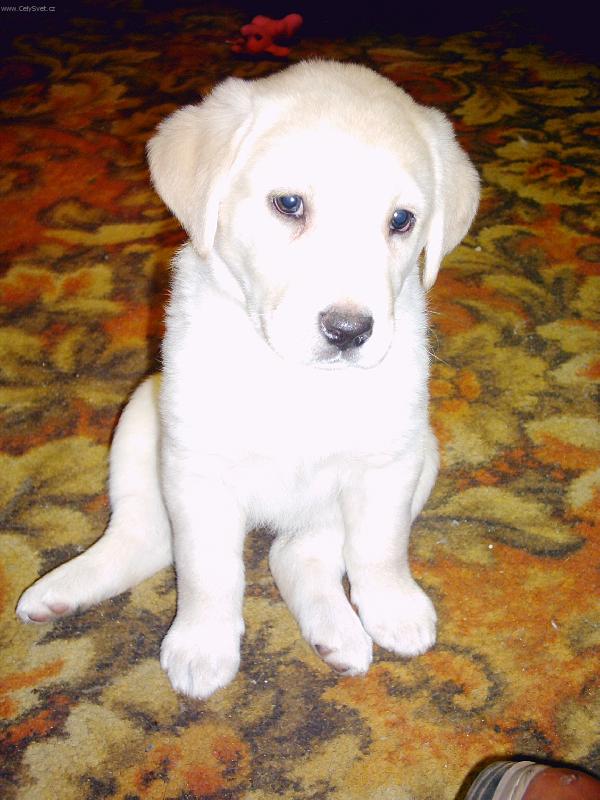 Foto: Te� jsem sice mal�,ale a� vyrostu to bude ze m� sle�na co?