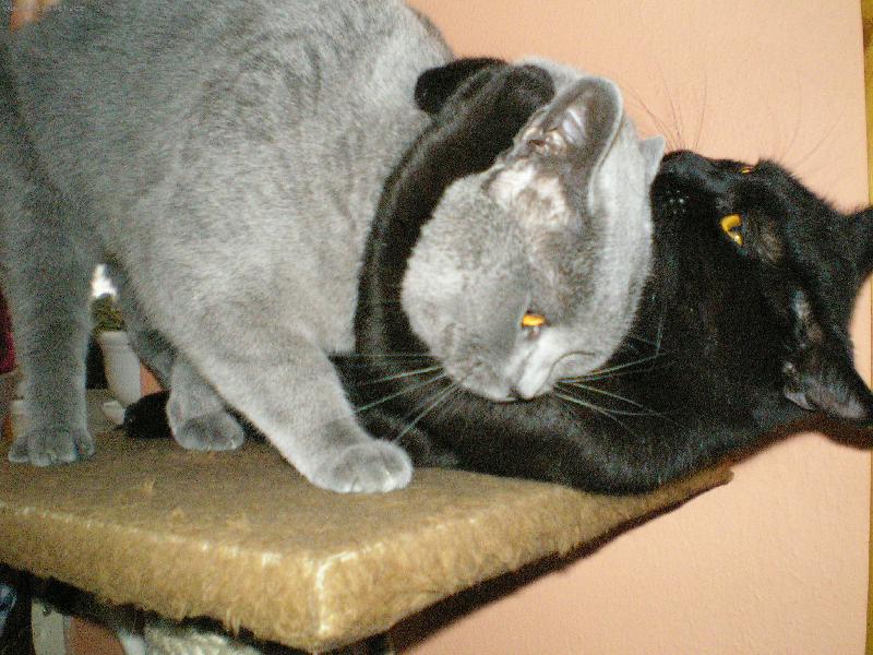 Foto: nikomu t� ned�m!!!-bratrsk� l�ska