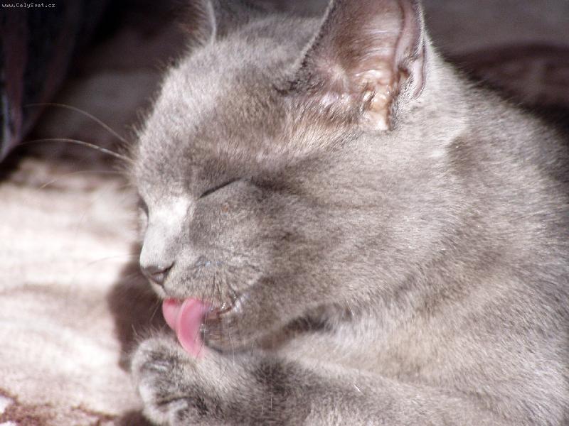 Foto: O�ista-Mike�