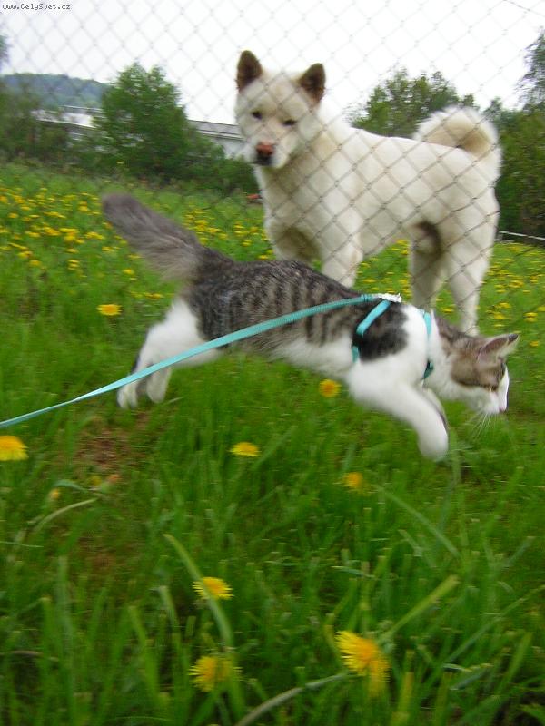 Foto: akim a chlupik-je to l�ska