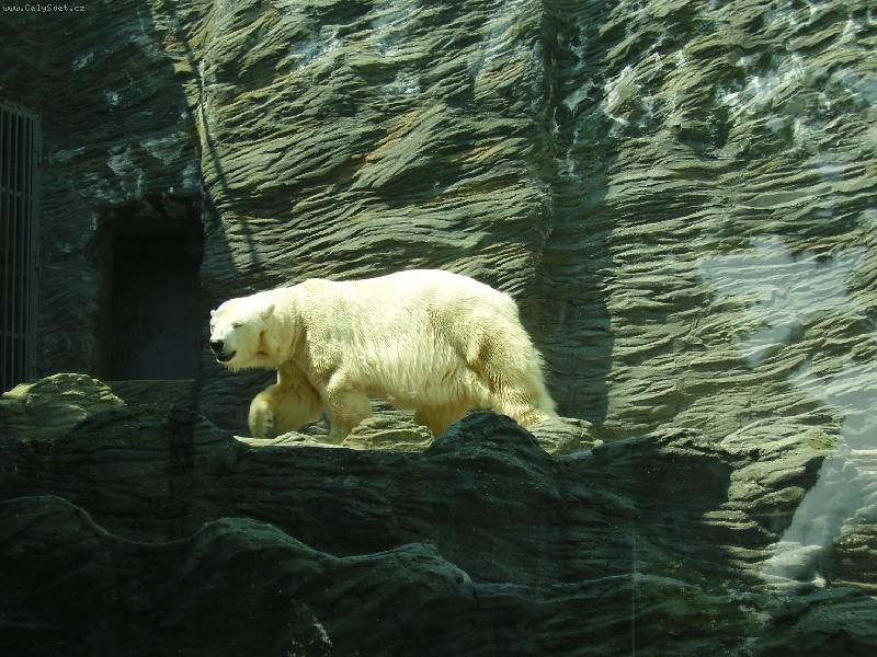 Foto: m��a b��a